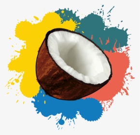 Coconut Creatives, HD Png Download, Free Download