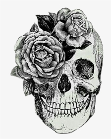 Anatomical Skull Tattoo , Png Download, Transparent Png, Free Download