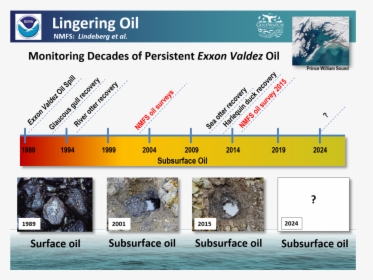 Lindgering Oil In Prince Williams Sound Graphic, HD Png Download, Free Download