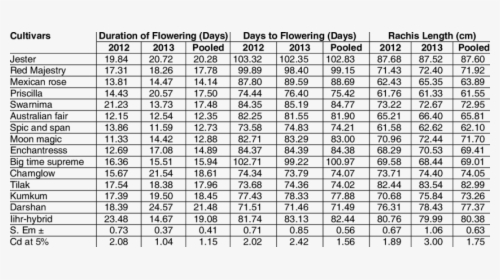 Performance Of Gladiolus Cultivars On Duration Of Flowering - Cost Of A Seminar, HD Png Download, Free Download