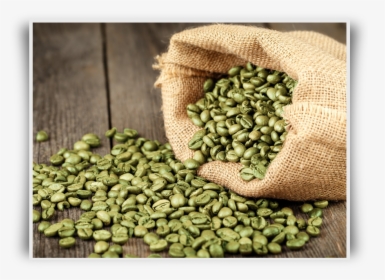Green Coffee Bean - Зеленый Кофе В Мешке, HD Png Download, Free Download