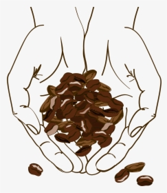Clip Art Cafe Brown Holding Beans - Coffee Bean Illustration Png, Transparent Png, Free Download