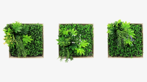 Green Wall Hanging Png, Transparent Png, Free Download
