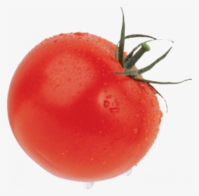 Now You Can Download Tomato Transparent Png Image - Produce Png Tomato, Png Download, Free Download