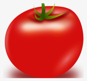 Vector Tomato Clip Arts - Tomatoes Clipart, HD Png Download, Free Download