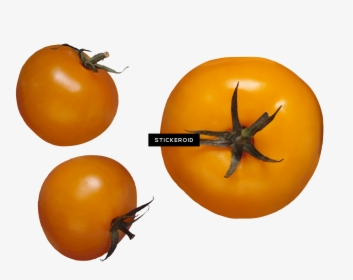 Tomato , Png Download - Yellow Tomato Png, Transparent Png, Free Download