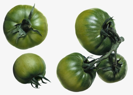 Background Tomato Transparent - Green Tomato Png, Png Download, Free Download