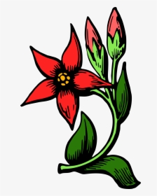 Flower 34 Clip Arts - Flower Clipart In Colour, HD Png Download, Free Download