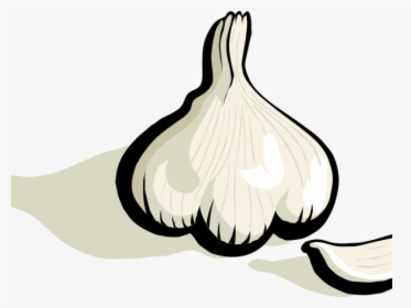 Garlic Clove Clip Art, HD Png Download, Free Download