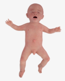 Nenasim - Baby, HD Png Download, Free Download