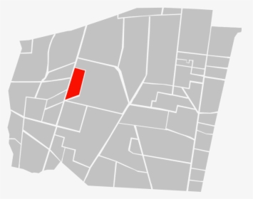 Location Of Insurgentes San Borja Within Benito Juárez - Delegacion Benito Juarez Colonias, HD Png Download, Free Download