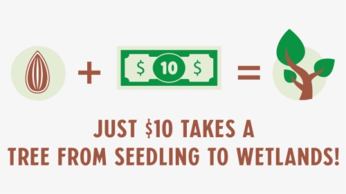 Just $10 Takes A Tree From Seedling To Wetlands - Sign, HD Png Download, Free Download