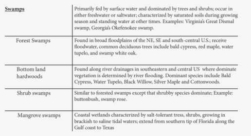 Types Of Wetlands Continued Wetland Types  - Sachverständiger, HD Png Download, Free Download