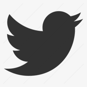 Twitter Icon Png Images Free Transparent Twitter Icon Download Kindpng