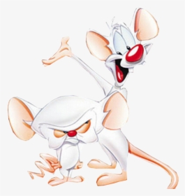Pinky And The Brain Animaniacs Characters, HD Png Download, Free Download