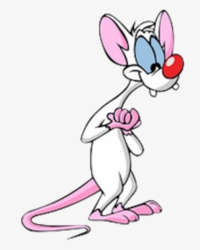 Pinky - Pinky And The Brain Mouse, HD Png Download, Free Download