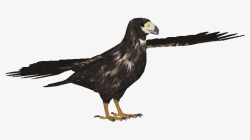 Imperial Eagle Png, Transparent Png, Free Download