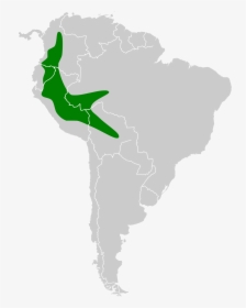 Platyrrhinus Angustirostris Peru Map, HD Png Download, Free Download