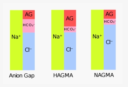 Anion Gap Hagma Nagma, HD Png Download, Free Download