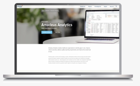 Amadeus Analytics - Website, HD Png Download, Free Download