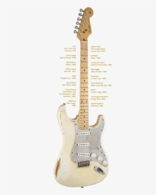 Fender Stratocaster, HD Png Download, Free Download