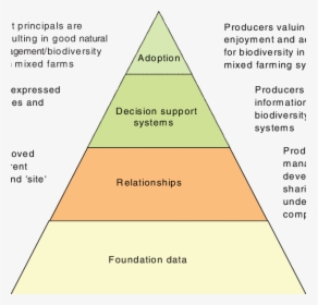 Transparent Pyramid Hierarchy - Pyramid Of Biodiversity, HD Png Download, Free Download