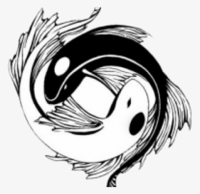 Avatar Water Tribe Symbol, HD Png Download, Free Download