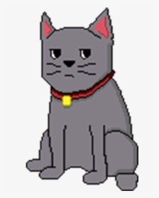 Catgallery22 - Domestic Short-haired Cat, HD Png Download, Free Download