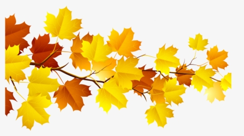 Autumn Tree Leaf Png, Transparent Png, Free Download
