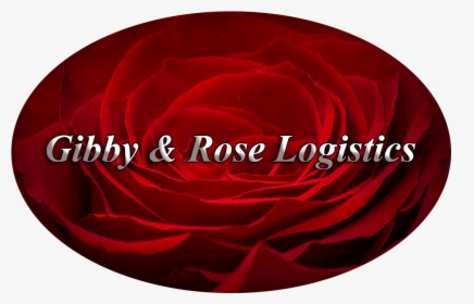 Gnr Log - Rosa × Centifolia, HD Png Download, Free Download