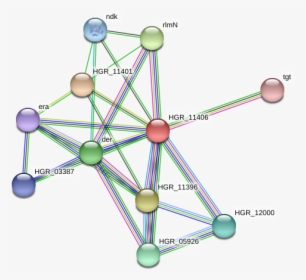 Hgr 11406 Protein - Circle, HD Png Download, Free Download