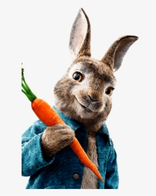 Peter Rabbit Png - Peter Rabbit Images Hd, Transparent Png, Free Download