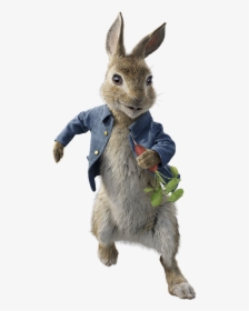 Peter Rabbit Png - Peter Rabbit Movie Character, Transparent Png, Free Download