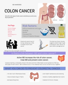 Colon Cancer Causes Driverlayer Search Engine What - Insect, HD Png Download, Free Download