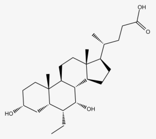 Obeticholic Acid Ec50, HD Png Download, Free Download