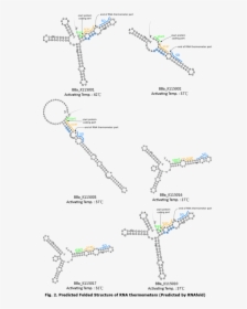 All Rnat - Map, HD Png Download, Free Download