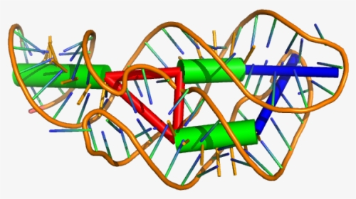 Images/1y26 Visualized - Rna 3d Png, Transparent Png, Free Download