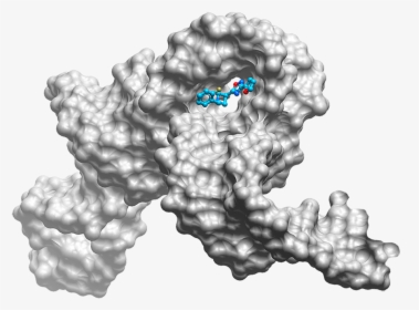 Small Molecule Drug Target, HD Png Download, Free Download