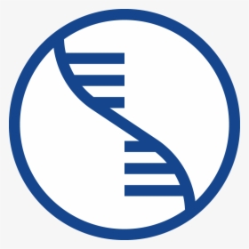 Rna Icon - Circle, HD Png Download, Free Download