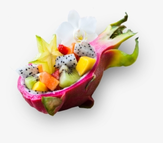 Exotic Excursions Let You See It All - Salade De Fruit Exotique, HD Png Download, Free Download