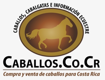 Caballos De Costa Rica, HD Png Download, Free Download