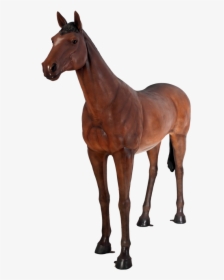 Caballo - Horse Statue Life Size, HD Png Download, Free Download