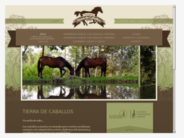 Caballos Png, Transparent Png, Free Download