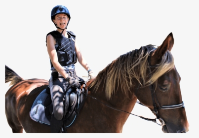 Tripstodream Bike - Stallion, HD Png Download, Free Download