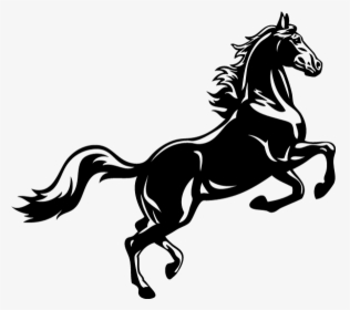 Clip Art Horse Illustrations - Horse Black And White, HD Png Download, Free Download