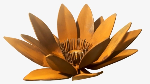 Flor De Loto Escultura - Sacred Lotus, HD Png Download, Free Download