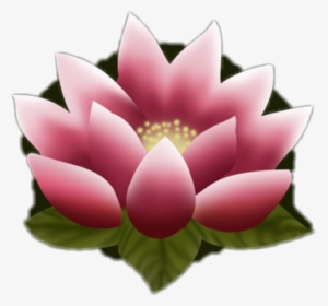 #flor De Loto #freetoedit - Mulan Lotus Flower, HD Png Download, Free Download