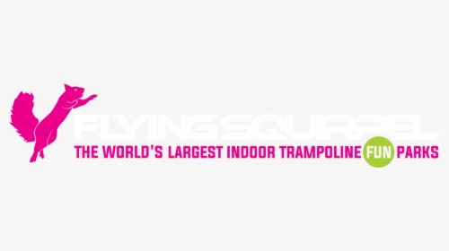 Flying Squirrel Logo - Flying Squirrel Trampoline Park Logo, HD Png Download, Free Download