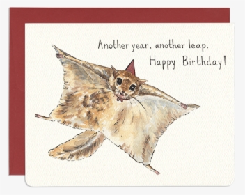 Flying Squirrel Leap - Tabby Cat, HD Png Download, Free Download