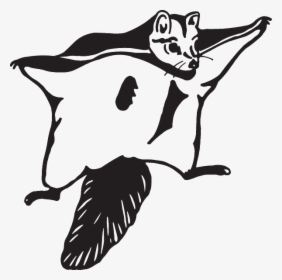 Flying Squirrel Stencil, HD Png Download, Free Download